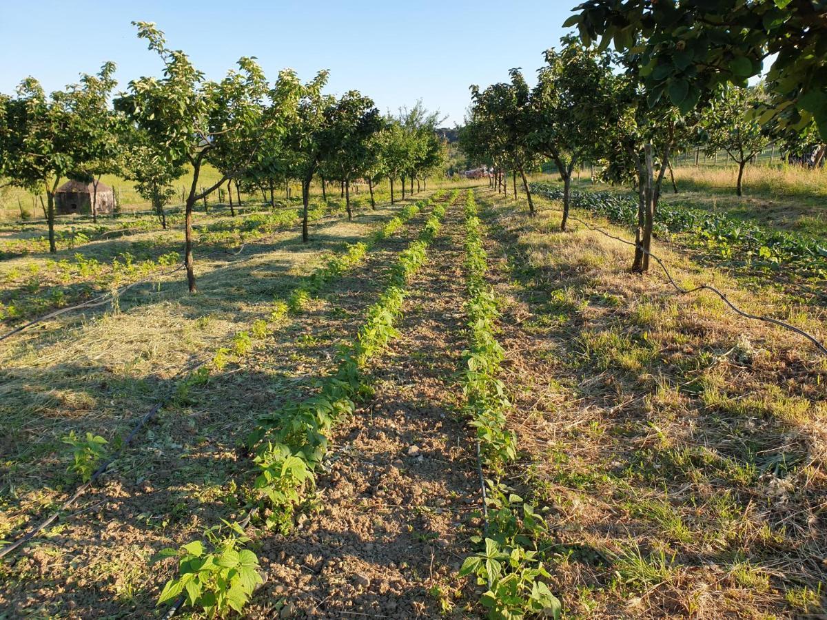 Fattoria Di Maiano Fiesole Exterior foto